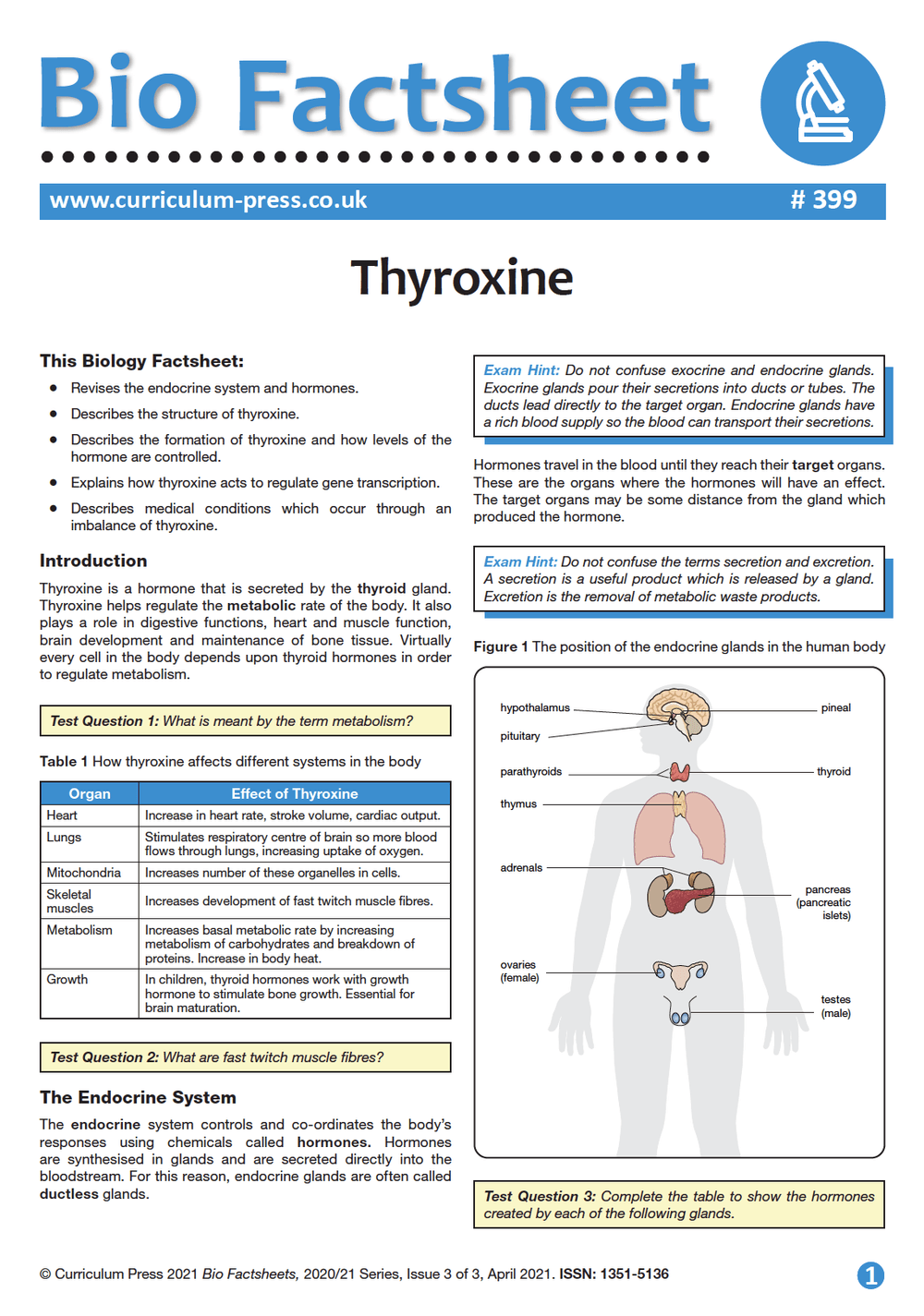 Thyroxine Curriculum Press