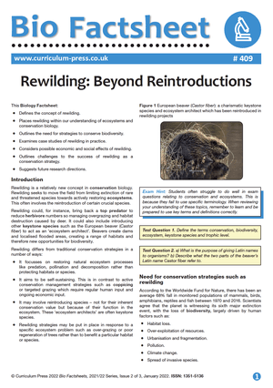 409 Rewilding Beyond Reintroductions