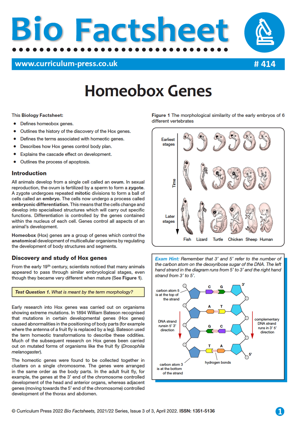 Homeobox Genes - Curriculum Press