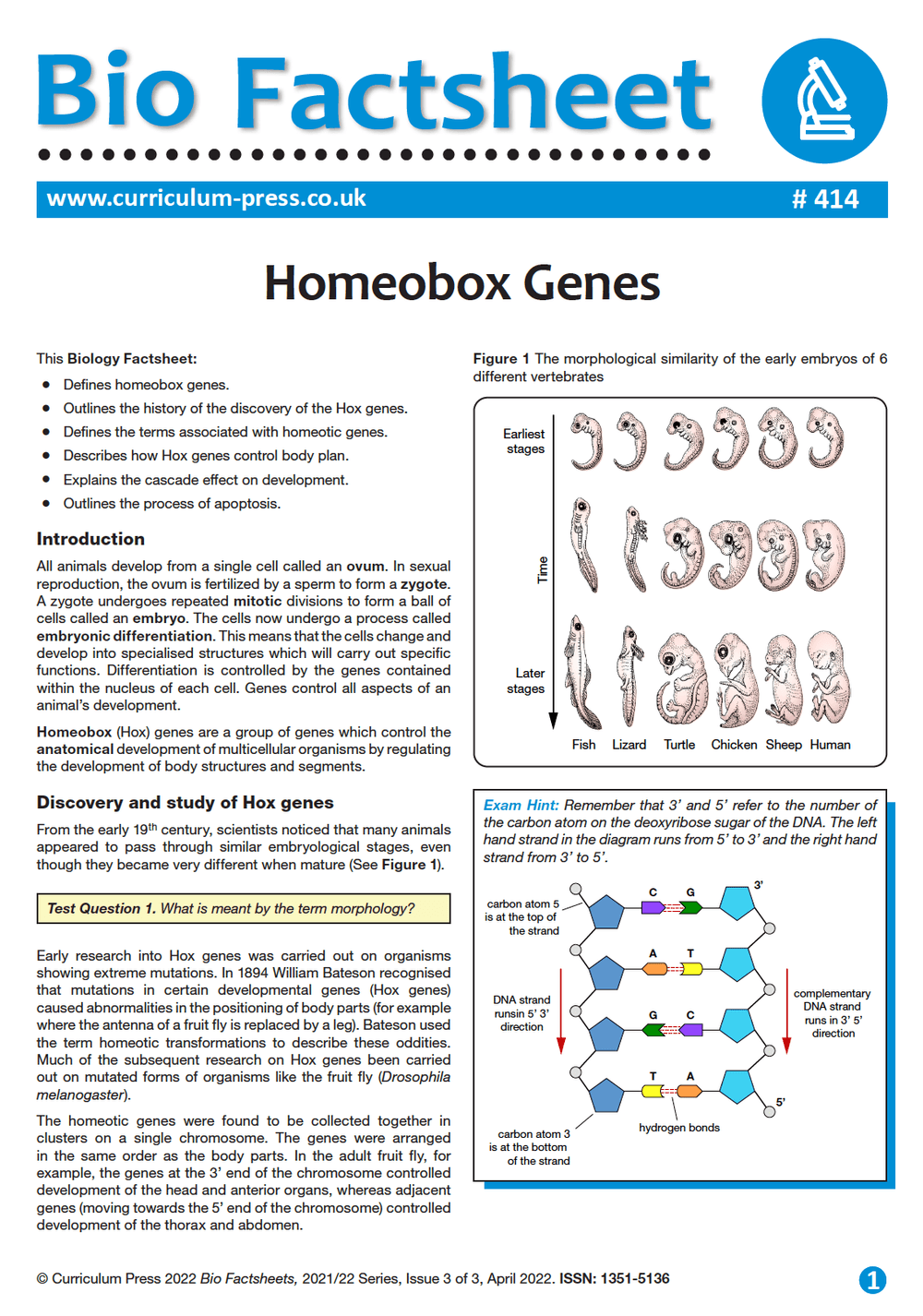 Homeobox Genes - Curriculum Press Homeobox Genes - Curriculum Press