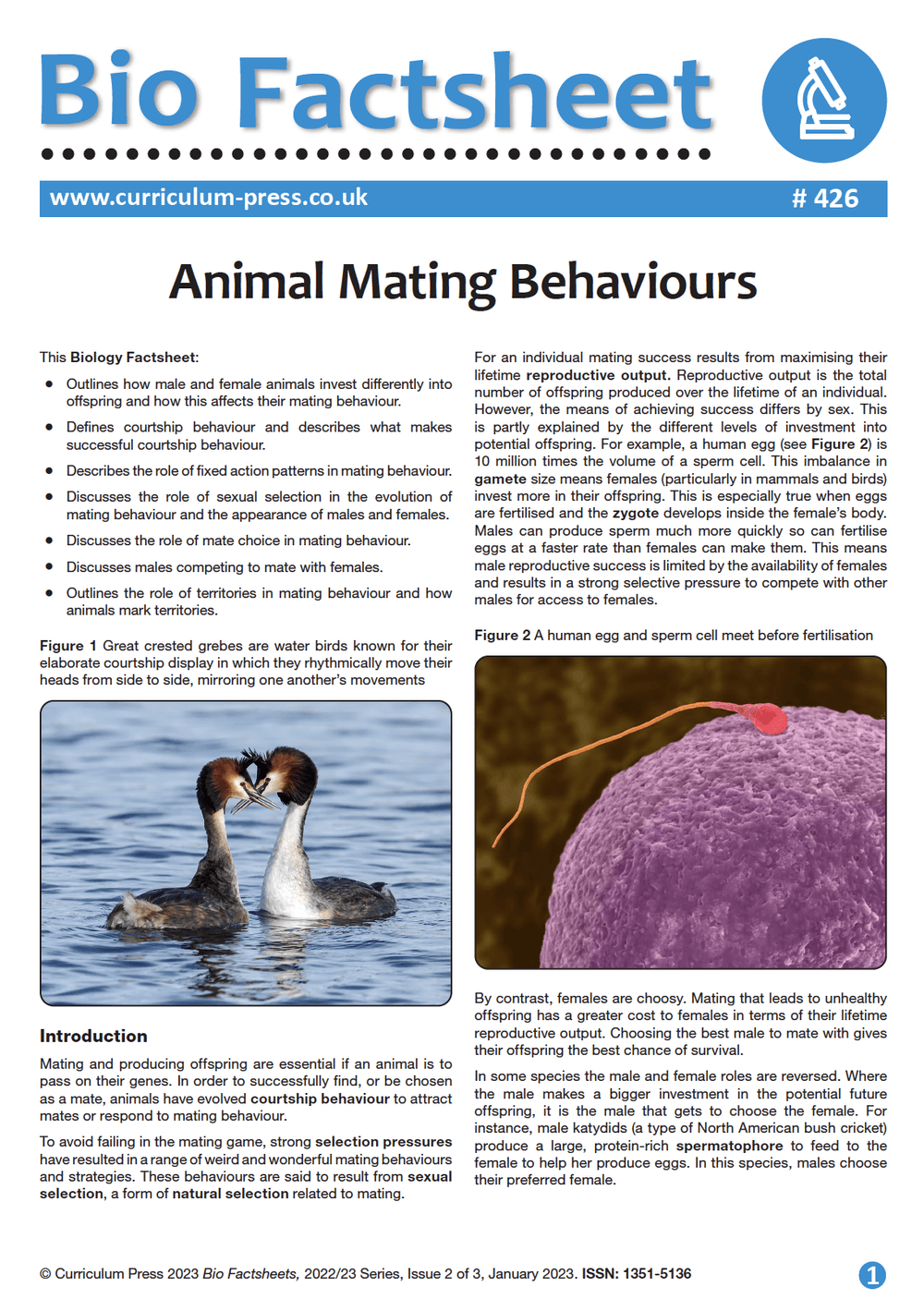 Animal Mating Behaviours - Curriculum Press