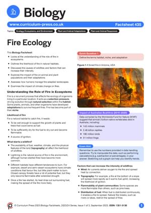 A closer look at Fire Ecology Usa
