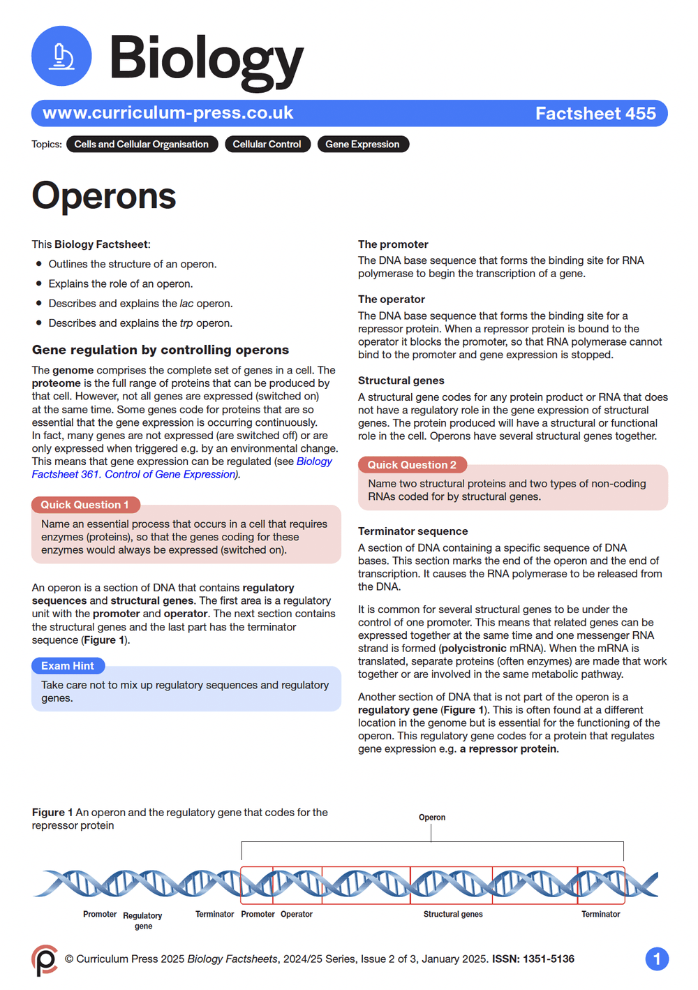 Operons - Curriculum Press