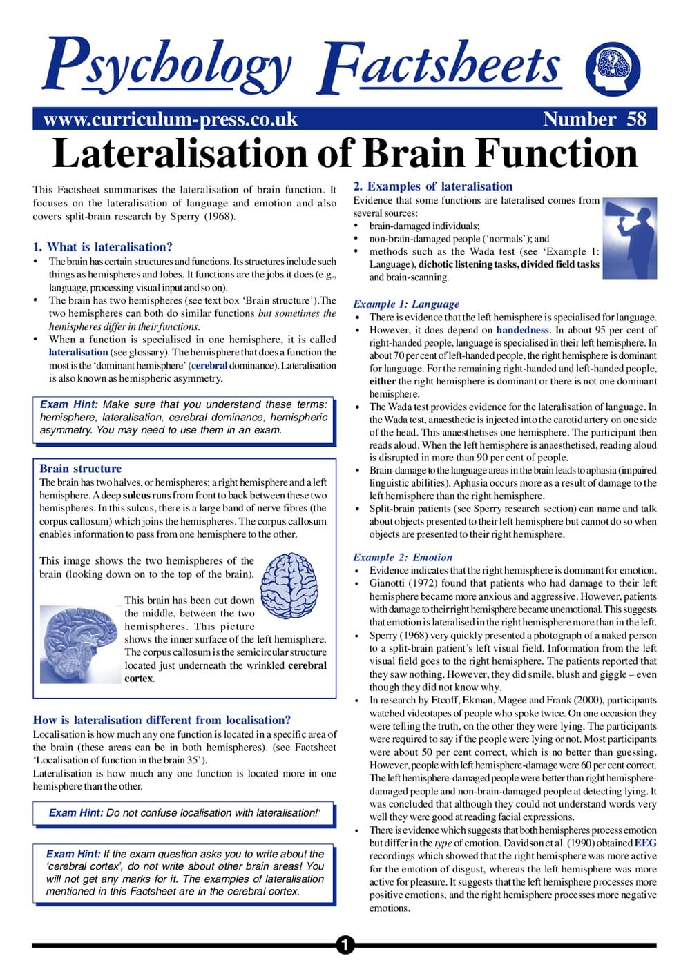 58 Lateralisation Brain