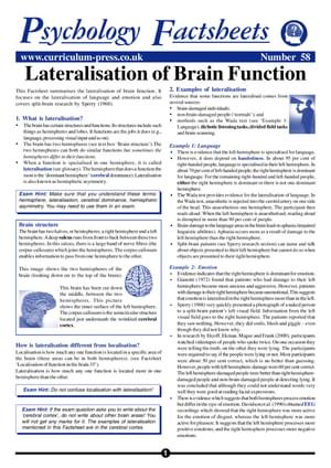 58 Lateralisation Brain
