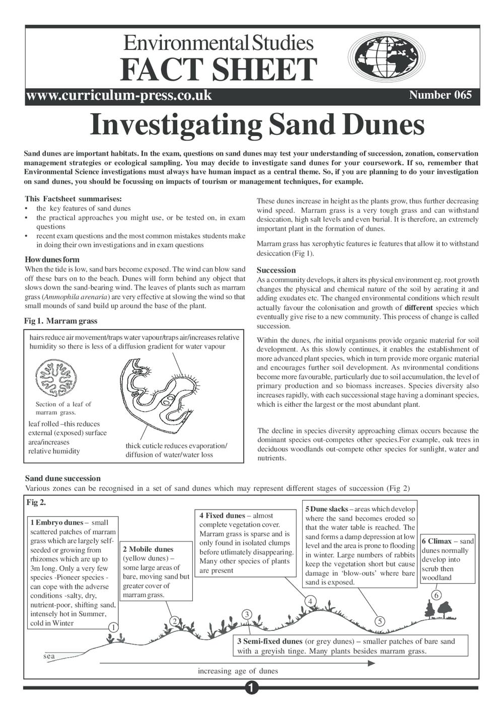 65 Invest Sand Dunes