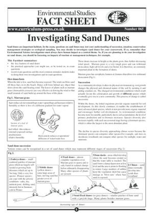 65 Invest Sand Dunes