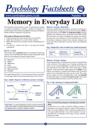 79 Memory Day Life