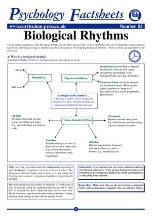 82 Bio Rhythms