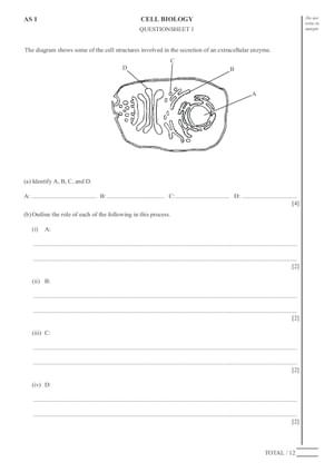 Cell Base Question Cell Biology Questions - A-Level - Curriculum Press