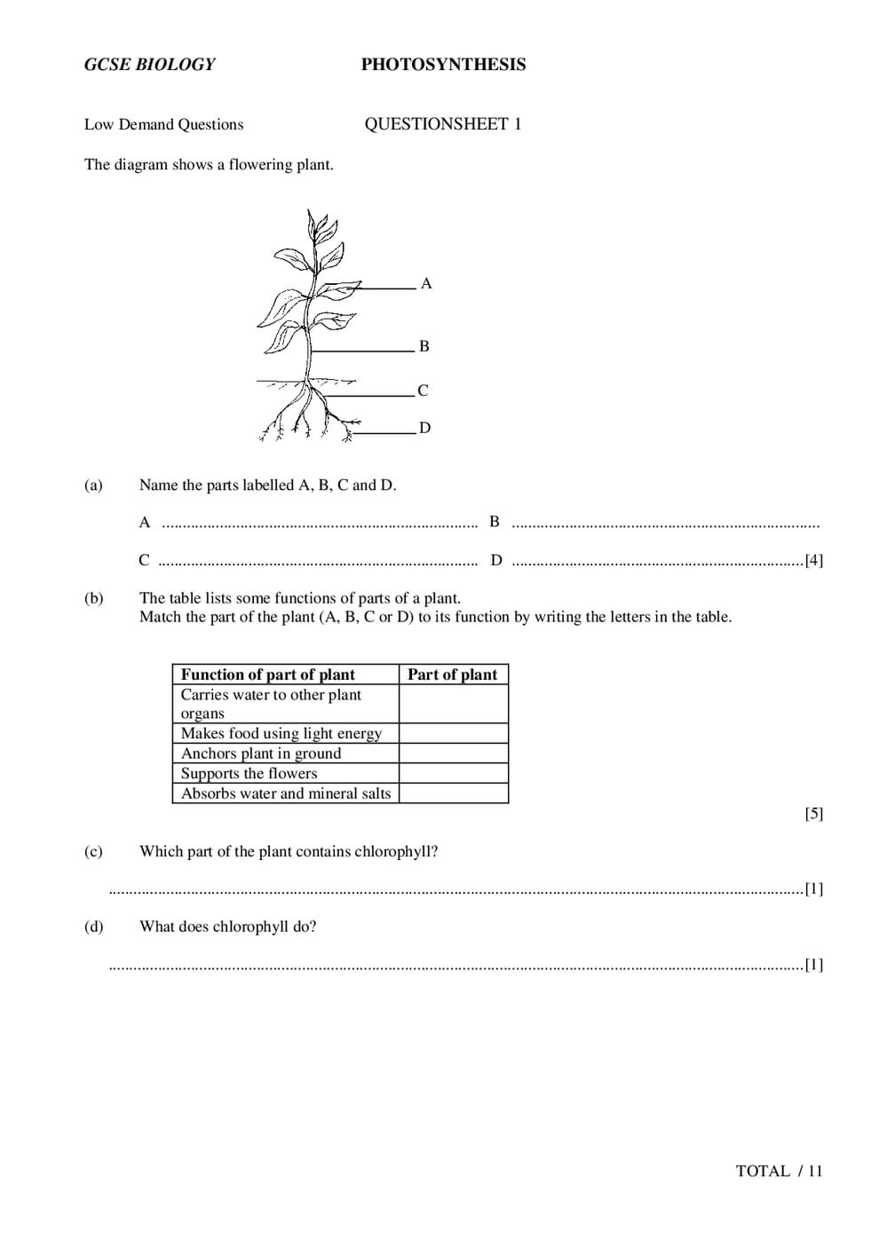 Gcse Biology Photosynthesis Questions