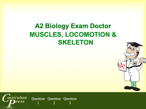 A2 12 Muscles,locomotion & Skeleton