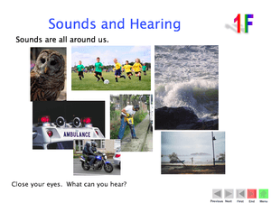 1F Sound And Hearing