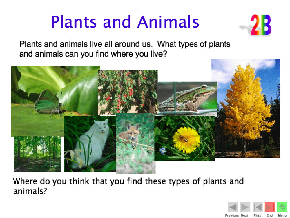 Plants and Animals in the Local Environment – Year 2 Science PowerPoint -  Curriculum Press