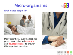 6B Micro Organisms