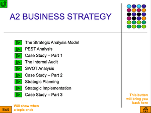 A2 Business Strategy