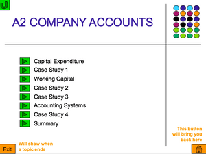 A2 Company Accounts