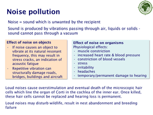 Noise Pollution Sample