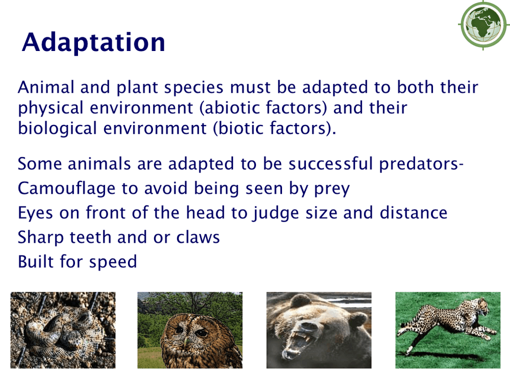 Adaptation to the Environment - A-Level PowerPoint - Curriculum Press