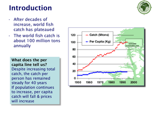 Fishing And Aquaculture