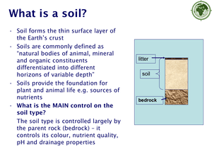 Formation Of Soils
