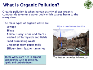 Inorganic   Organic Pollution
