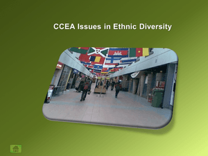 Issues In Ethnic Diversity